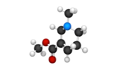 Arecoline. Seamless loop. White background Stock Footage 154417991