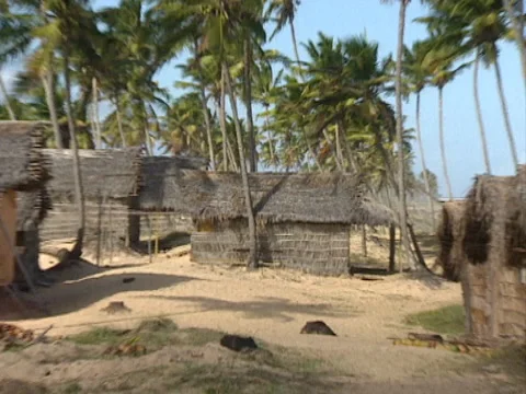Arembepe Aldeia Hippie an agglomeration of huts Stock Footage 141063602