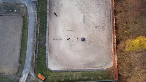 Arena for show jumping Stock Footage 164686186