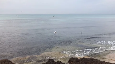 This is the Arenal beach Stock Footage 128135003