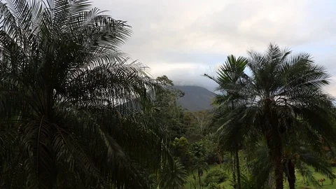 Arenal volcano Stock Footage 113175080