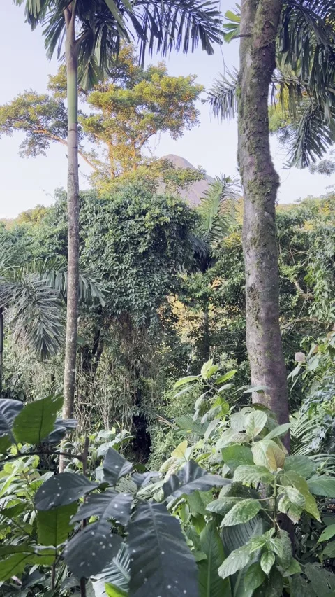 Arenal Volcano Peak View Stock Footage 283794867