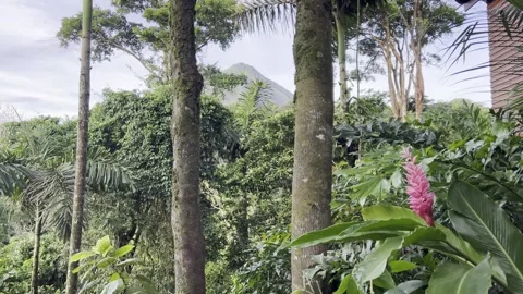 Arenal Volcano Peak View Видео 283794899