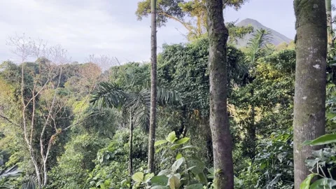 Arenal Volcano Peak View Stock Footage 283794908