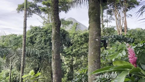 Arenal Volcano Peak View Stock Footage 283794985