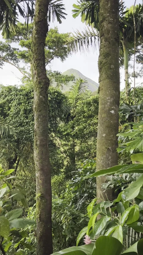 Arenal Volcano Peak View Stock Footage 283794987