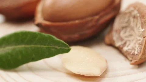 Argan Stock Footage 156197118