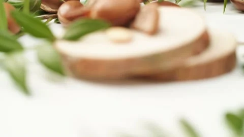 Argan Stock Footage 156197819