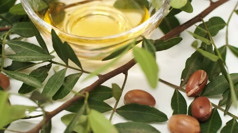 Argan Stock Footage 156197971