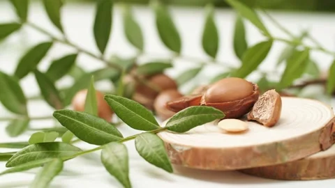 Argan nuts Stock Footage 156198537