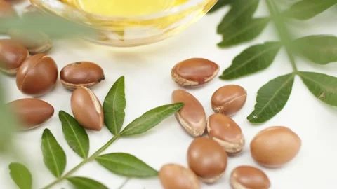 Argan oil Stock Footage 156198089