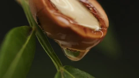 Argan oil Stock Footage 156198568