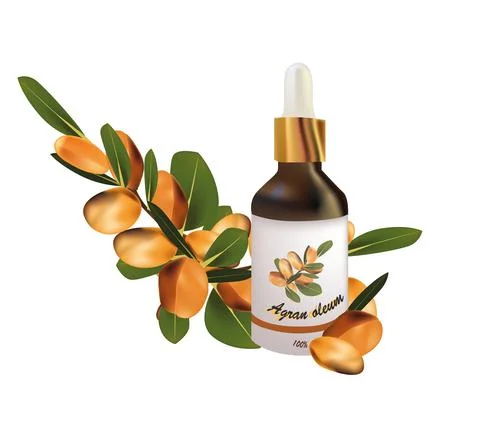 Argan oil Stock Illustration