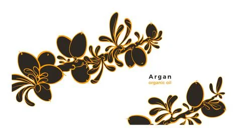 Argan plant. Vector graphic template. Organic oil Stock Illustration