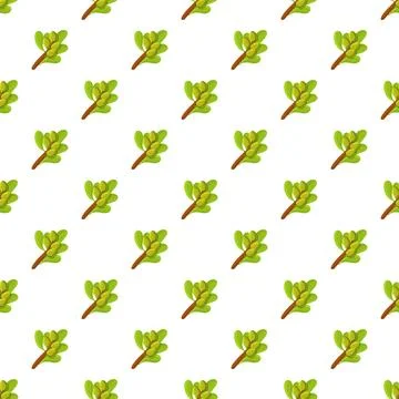 Argan tree branches with fruit seamless pattern Stock Illustration