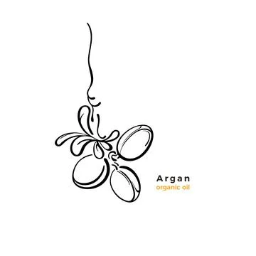 Argan tree label. Vector nut. Sketch illustration Stock Illustration
