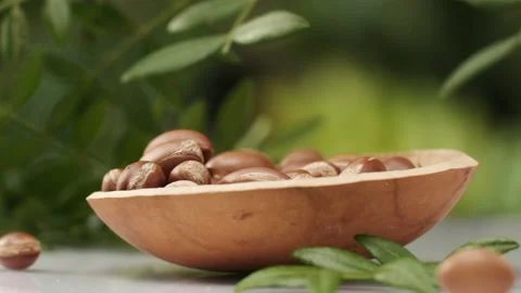 Argan tree nut  fall into the plate Stock Footage 156197085