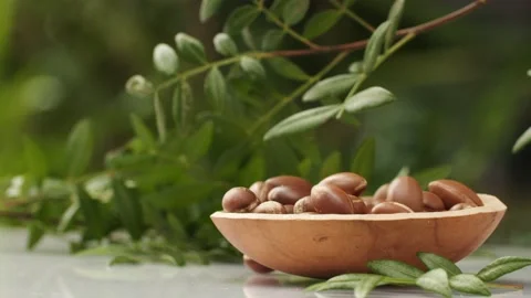 Argan tree nut fall into the plate Stock Footage 156197301