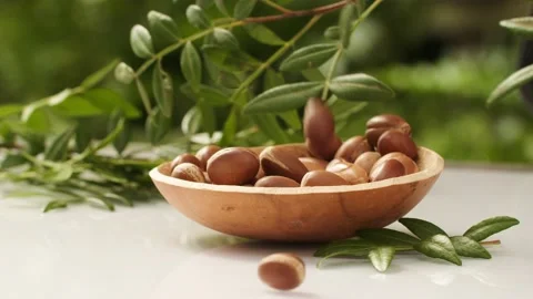 Argan tree nut fall into the plate Stock Footage 156197344