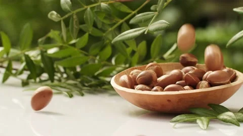 Argan tree nut  fall into the plate Stock Footage 156197544