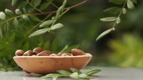 Argan tree nut Stock Footage 156197084