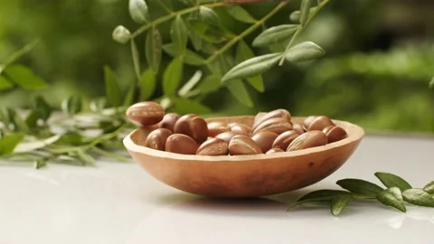 Argan tree nut Stock Footage 156197454