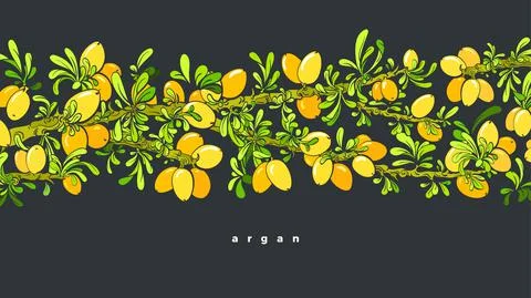 Argan tree. Vector oil bean, leaf Art illustration Illustrazione stock