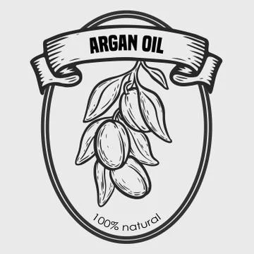 Argan vector drawing nut oil, fruit, berry, leaf, branch, plant. Stock Illustration