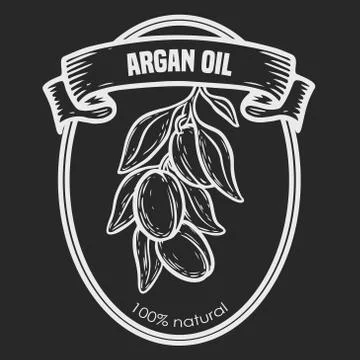 Argan vector drawing nut oil, fruit, berry, leaf, branch, plant. Stock Illustration