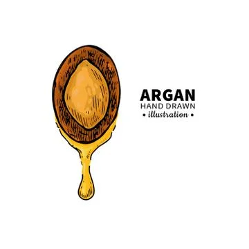 Argan vector drawing.  Organic essential oil sketch. Stock Illustration