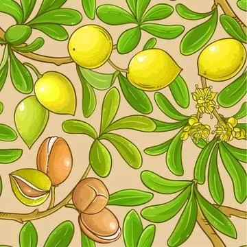 Argan vector pattern Illustrazione stock