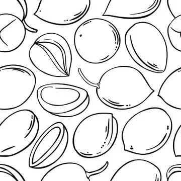 Argan vector pattern Illustrazione stock