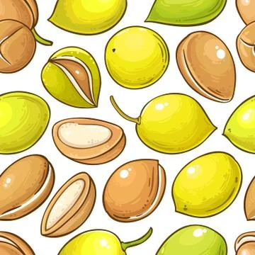 Argan vector pattern Illustrazione stock