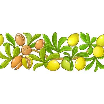 Argan vector pattern Stock Illustration