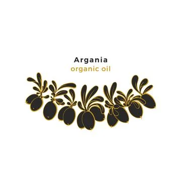 Argania tree pattern. Vector oil bean Graphic card イラスト素材