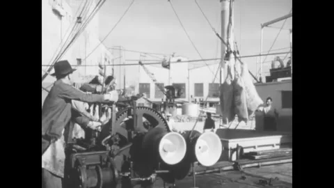 ARGENTINA - 1948 - Packed meats for export are being lifted by crane into a Vídeo Stock 340652996