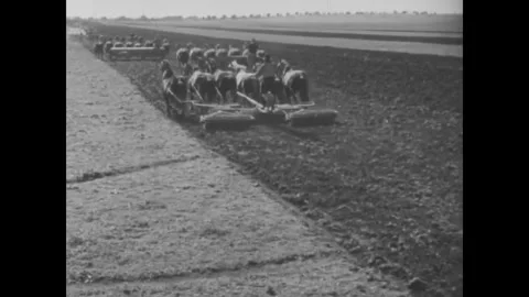 ARGENTINA - 1948 - Teams of horses plowing corn fields. Animation map of an Stock Footage 340652953