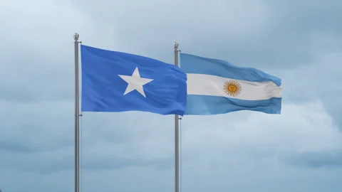 Argentina and Somalia flag 스톡 동영상 257199662