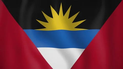 Argentina animated flag. Seamless loop. 4K Video stock 145424184