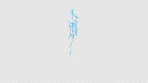 Argentina Country Line Map Self Drawing Animated Overlay, Alpha 4K 스톡 동영상 340289007