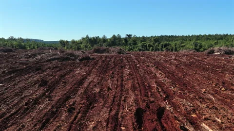 Argentina. Deforestation planes and red soil furrows on clear day. Forestry Stock Footage 340921088