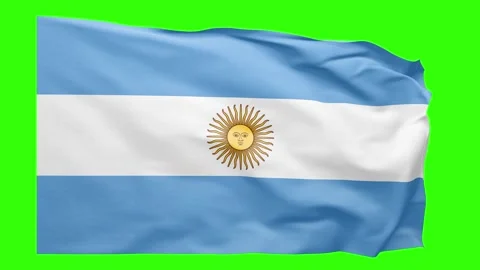 Argentina Flag Animation – Seamless Loop (4K UHD) Stock Footage 319030058