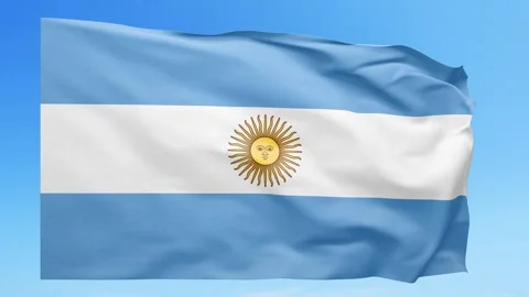 Argentina Flag Animation – Seamless Loop (4K UHD) Stock Footage 319030061