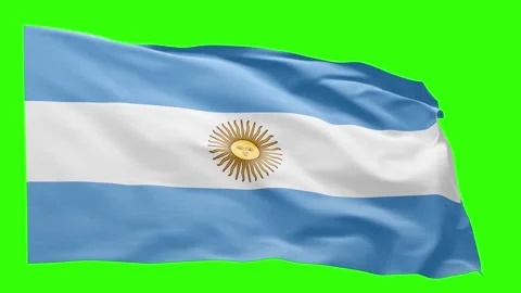 Argentina Flag Animation – Seamless Loop (4K UHD) Stock Footage 319030073