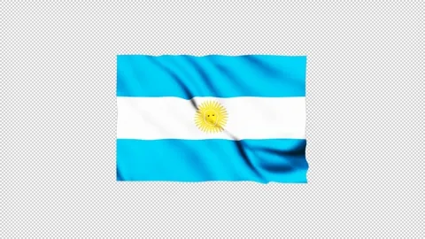 Argentina flag fluttering in the wind Stock Footage 305811063