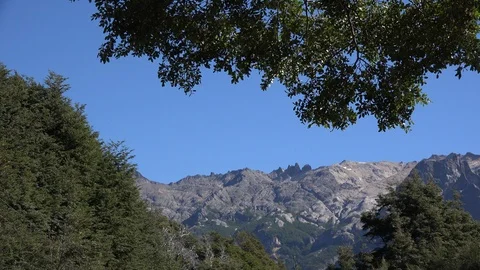 Argentina view of a forest and mountain Stock Footage 107948611