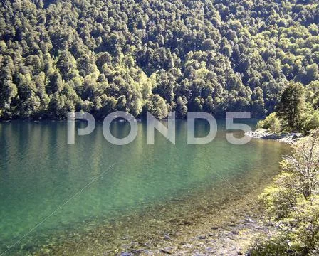 Argentina. View of a lake in Patagonia. Stock Photos