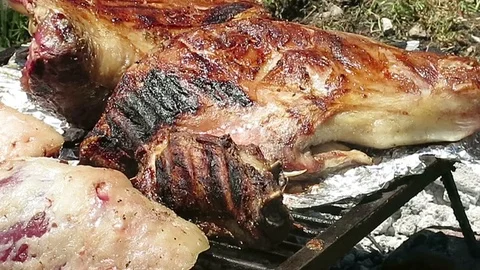 Argentine Barbecue On Grill Stock Footage 92522381
