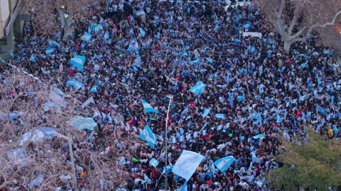 Argentine Crowd Waving Flags During Victory Celebration Stock Footage 340773545