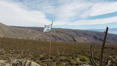 Argentine flag Video stock 251034358